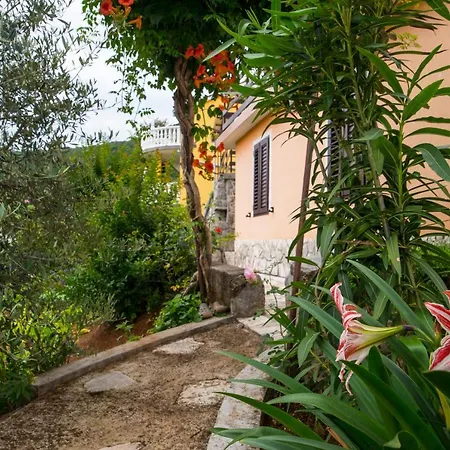 Alba Apartmán Medveja